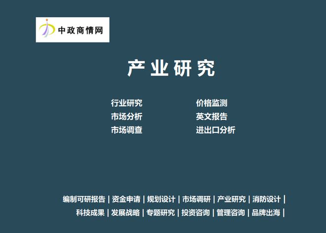 国海外投资行业发展态势与投资战略咨询报告开元棋牌网站2025-2031年全球及中(图1)